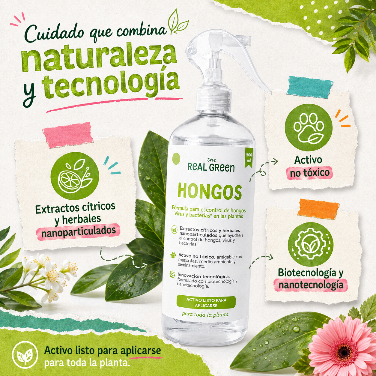 Auxiliar para el control de hongos, virus y bacterias