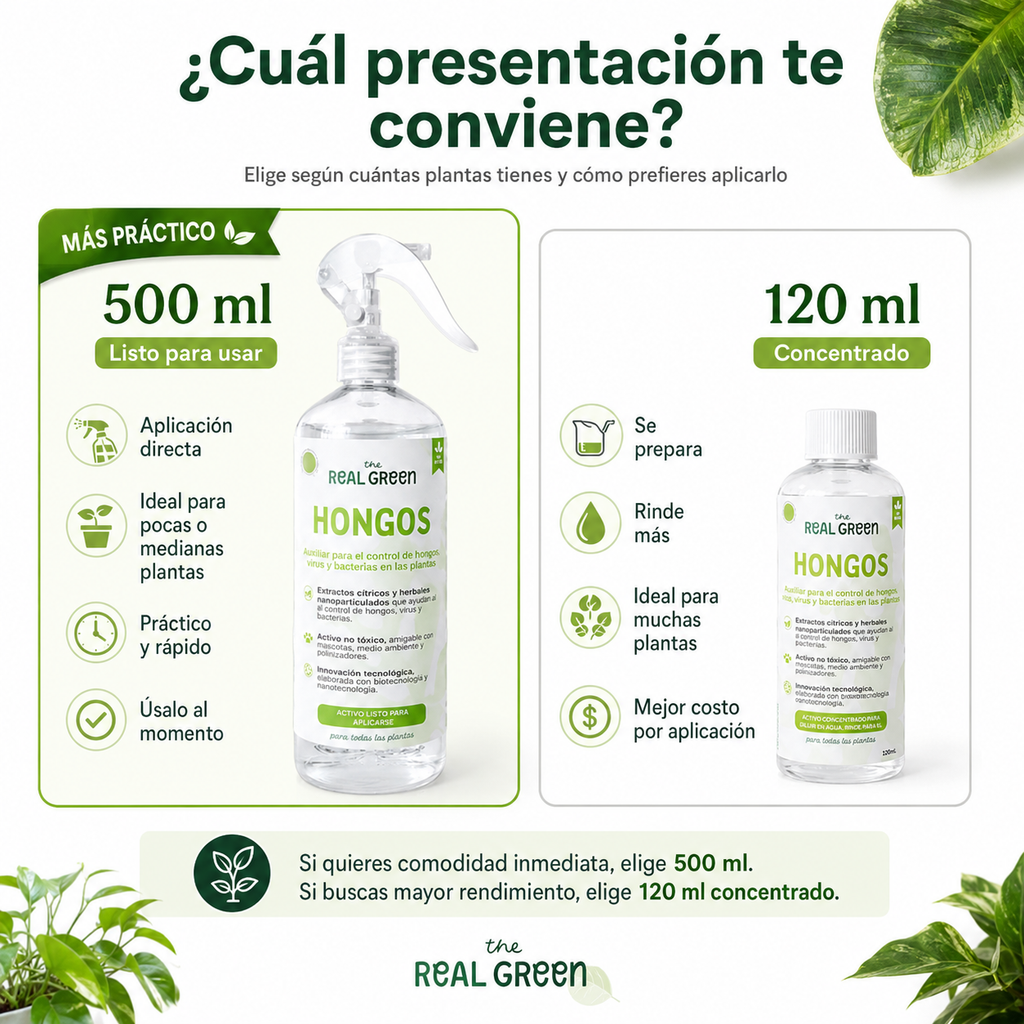Auxiliar para el control de hongos, virus y bacterias
