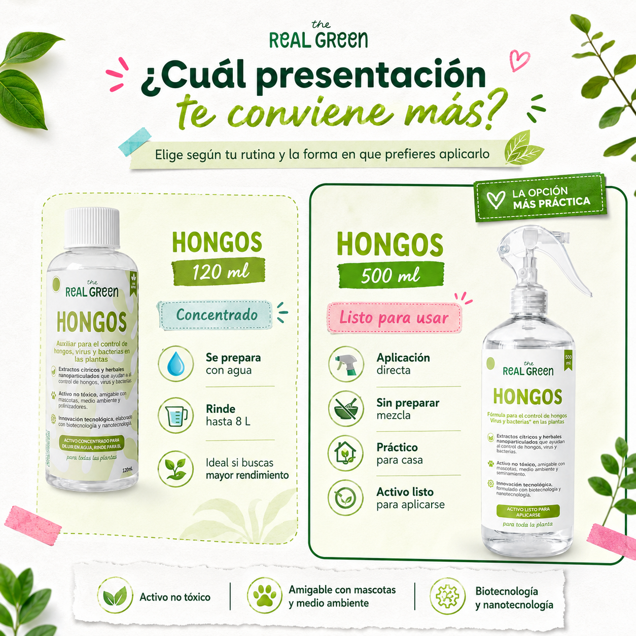 Auxiliar para el control de hongos, virus y bacterias