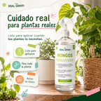 Auxiliar para el control de hongos, virus y bacterias