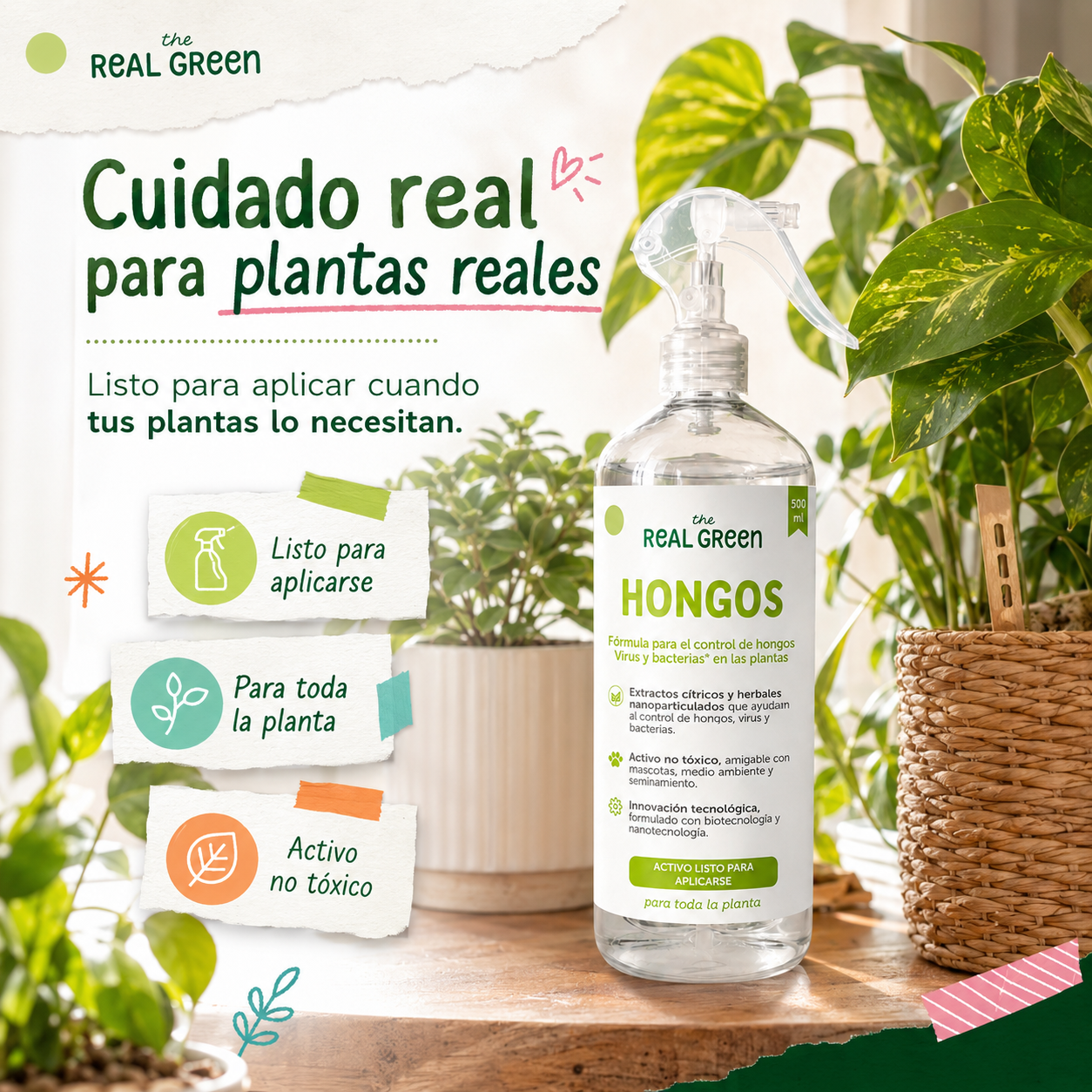 Auxiliar para el control de hongos, virus y bacterias