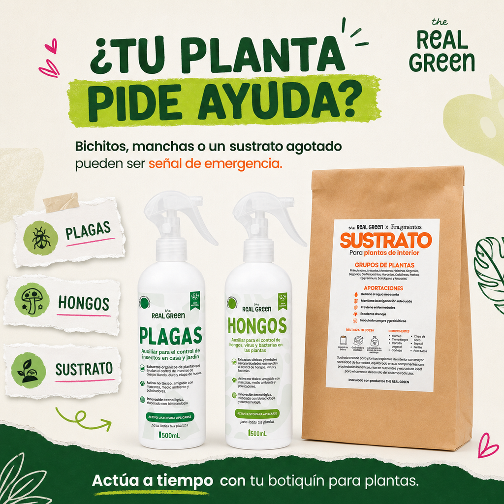 Kit de emergencia k