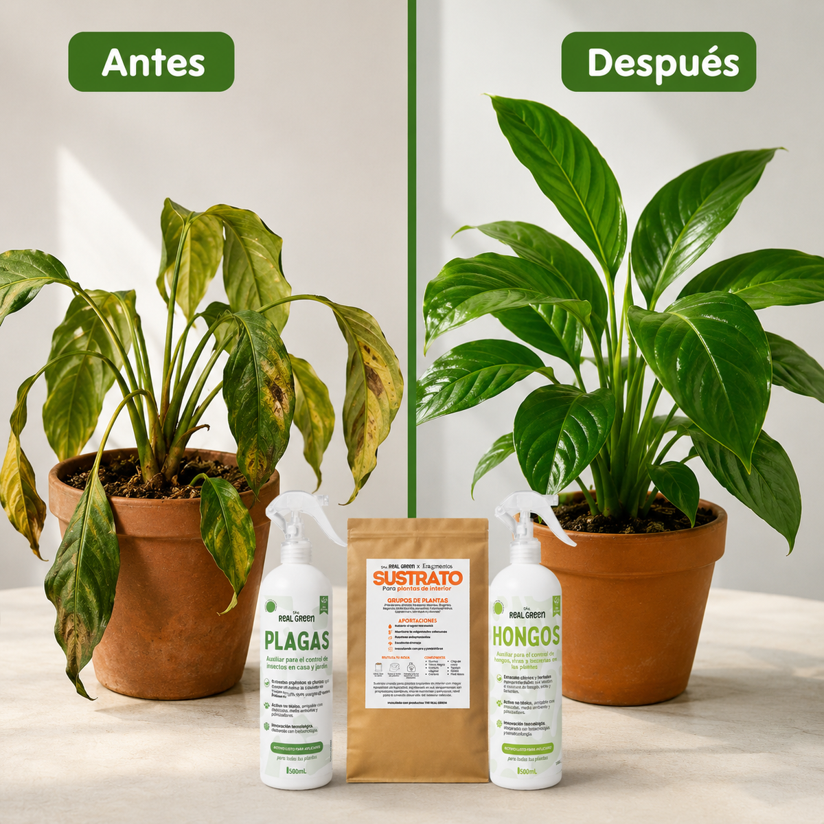 Kit de emergencia