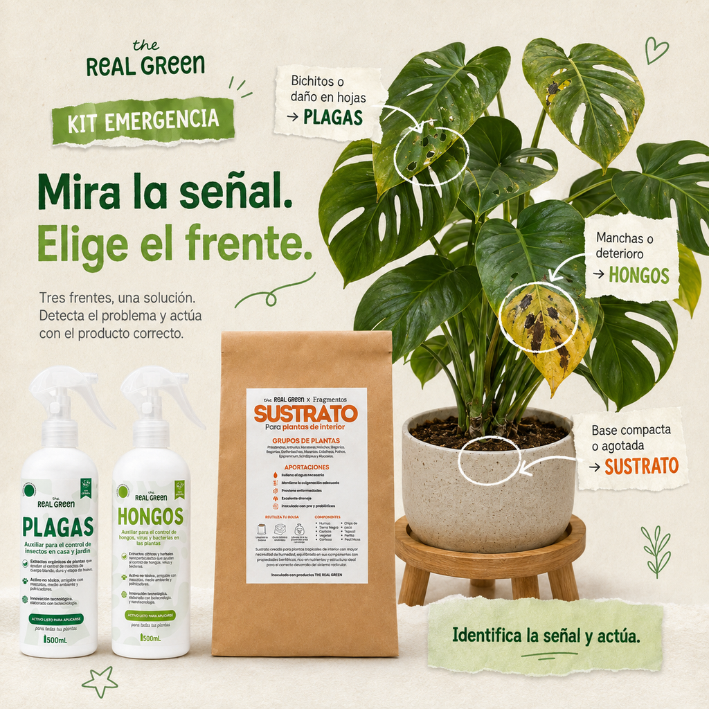 Kit de emergencia k