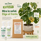 Kit de emergencia k