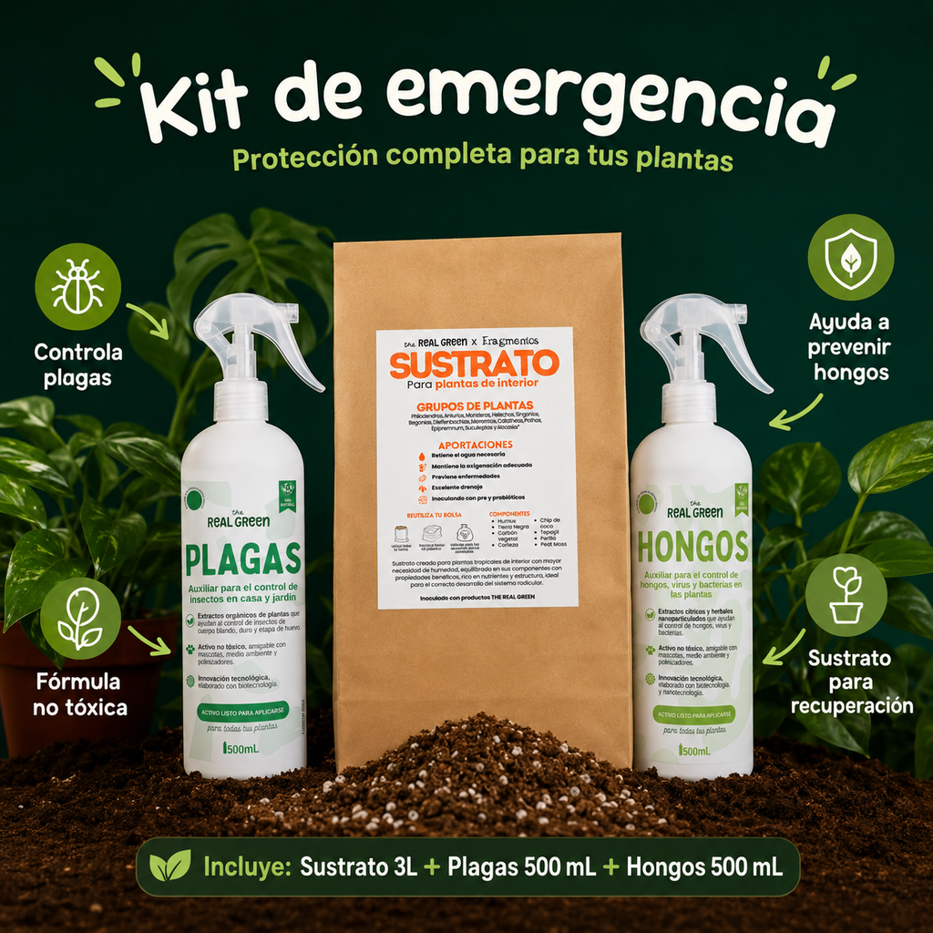 Kit de emergencia