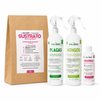 Kit Orquideas K