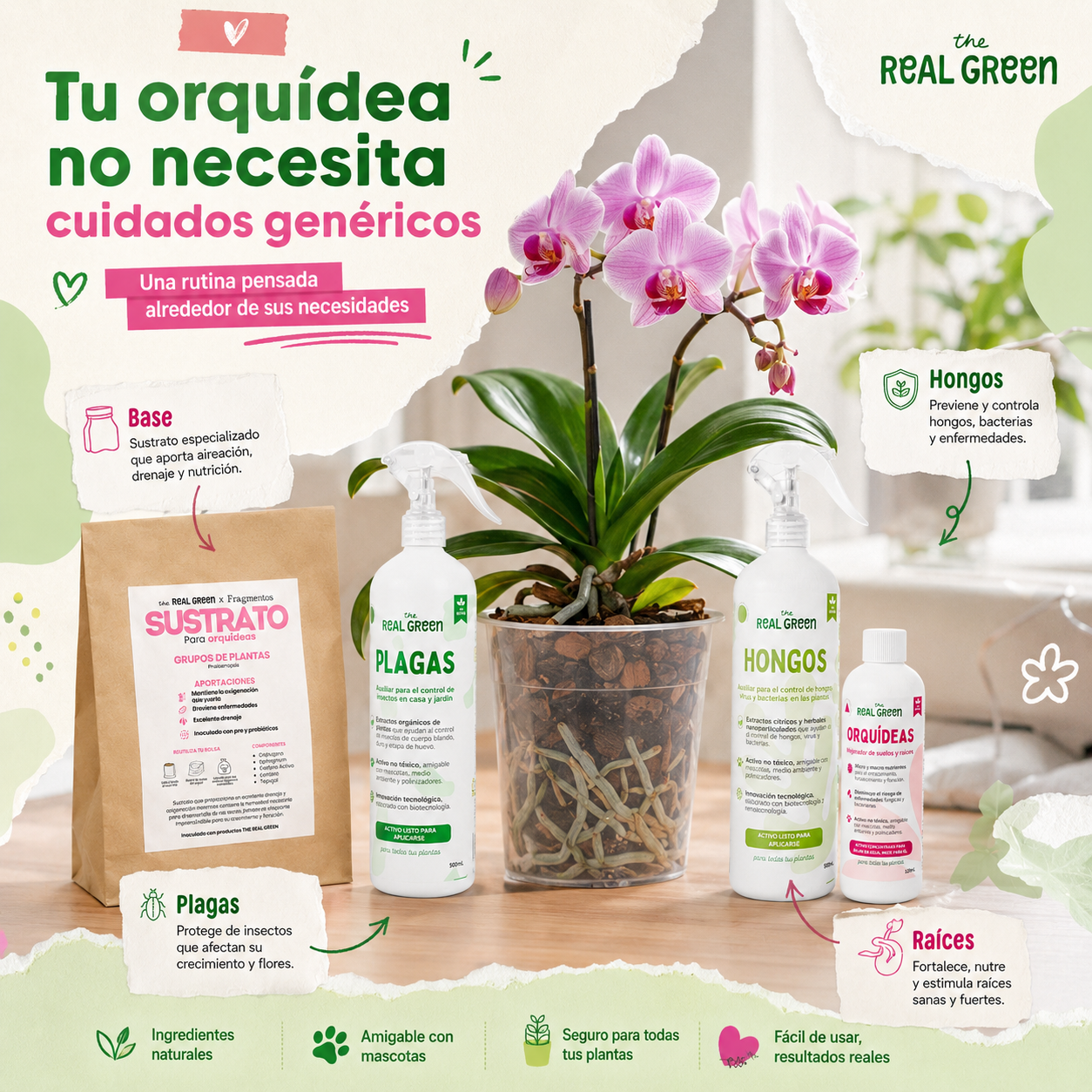 Kit Orquideas K