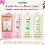 Kit Orquideas K