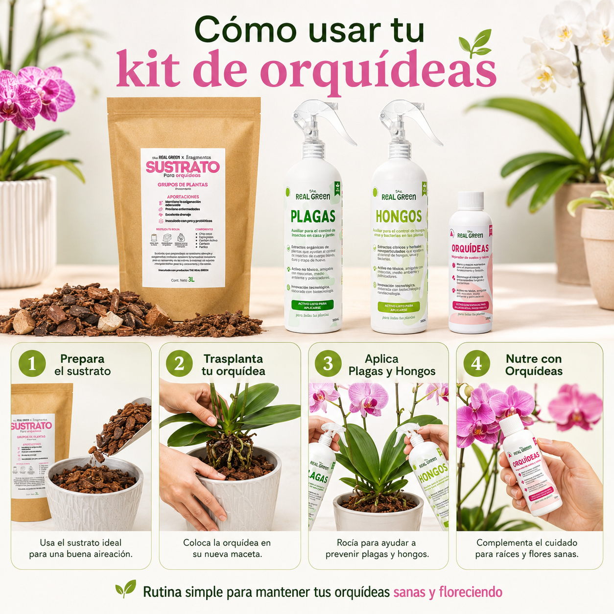 Kit Orquideas