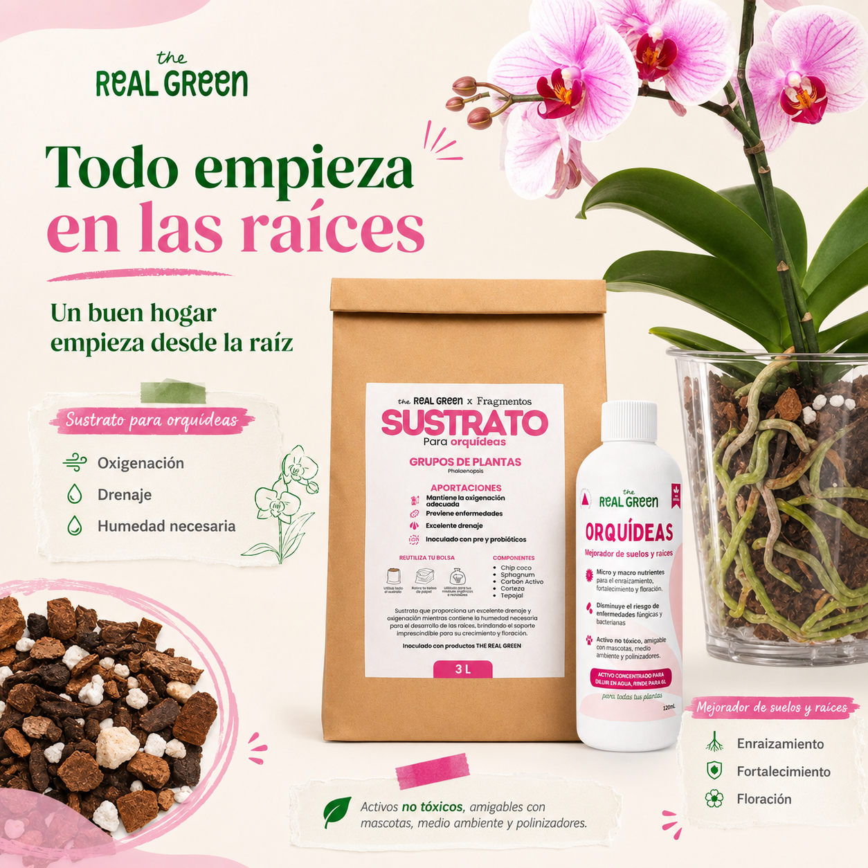 Kit Orquideas K