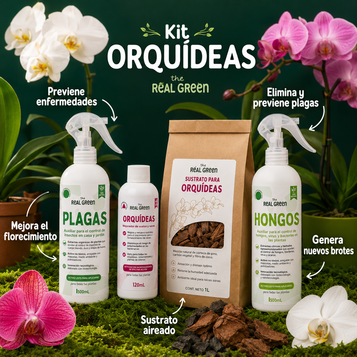 Kit Orquideas