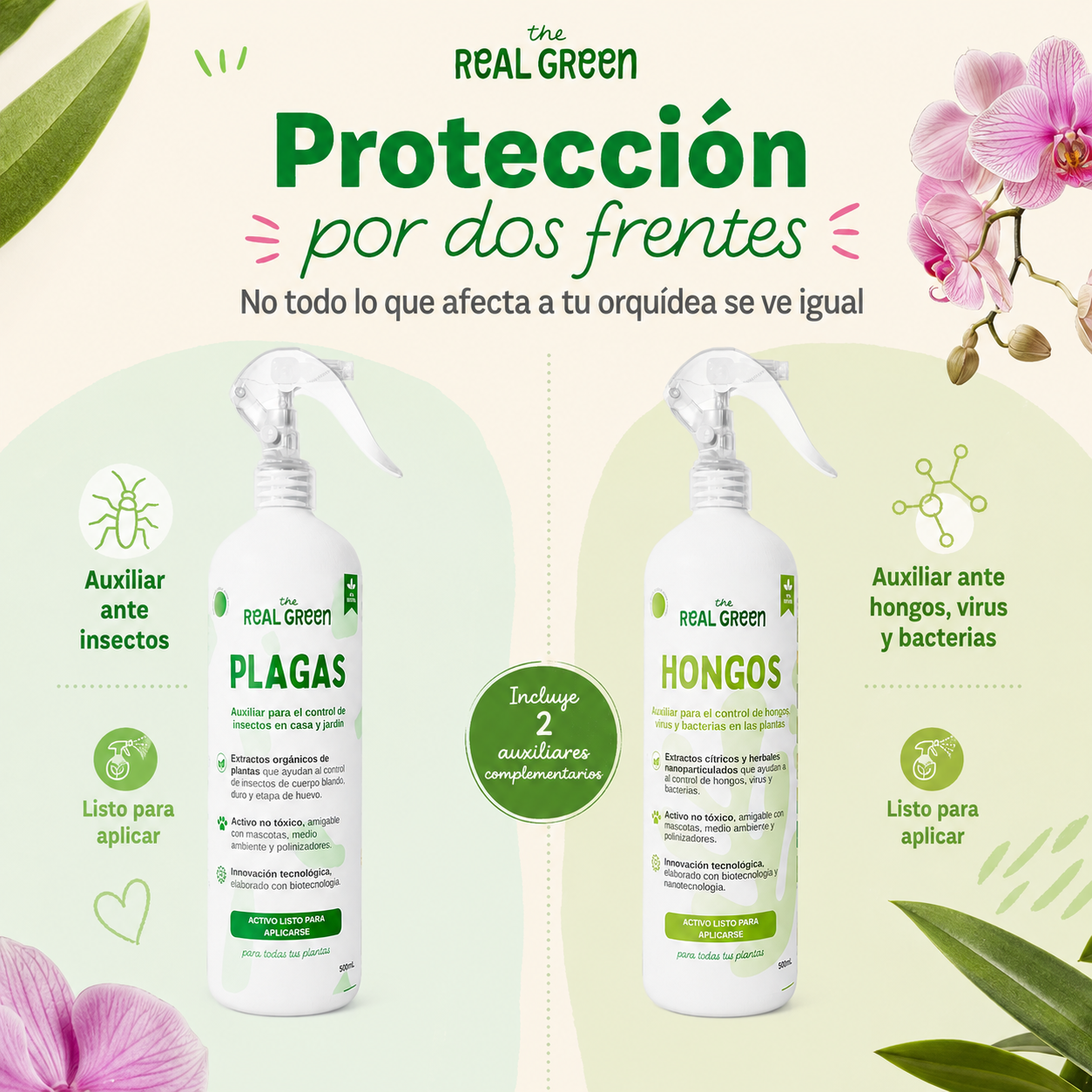 Kit Orquideas K