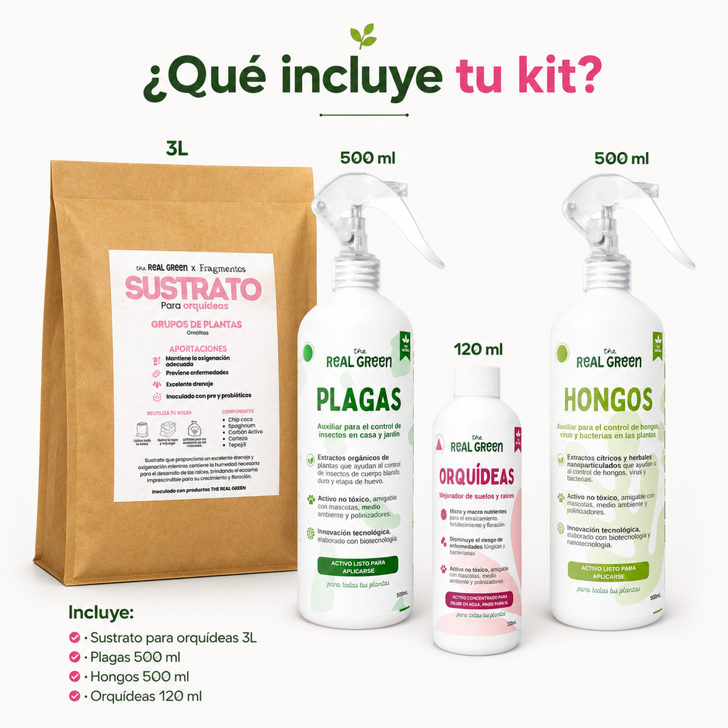 Kit Orquideas