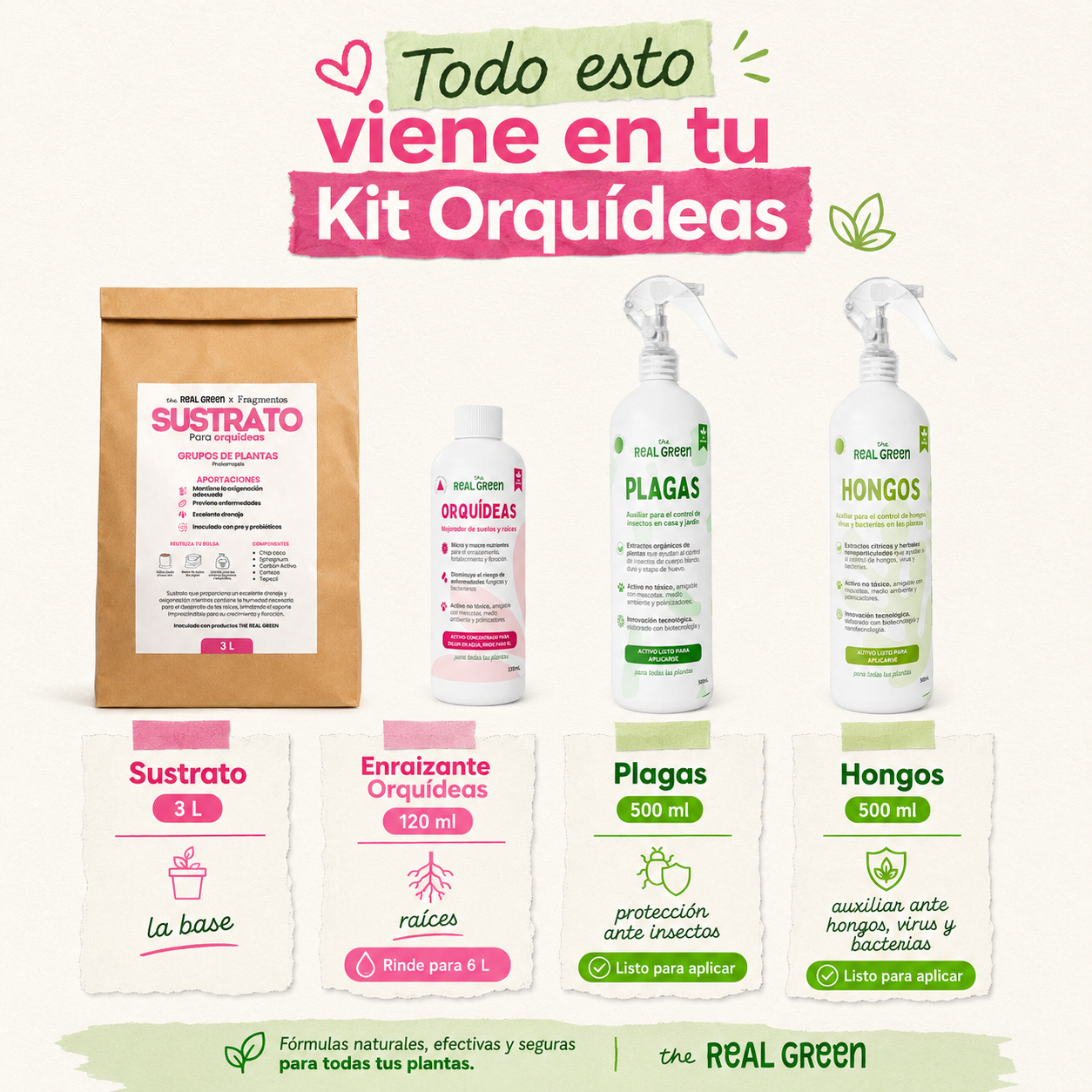 Kit Orquideas K