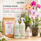Kit Orquideas K