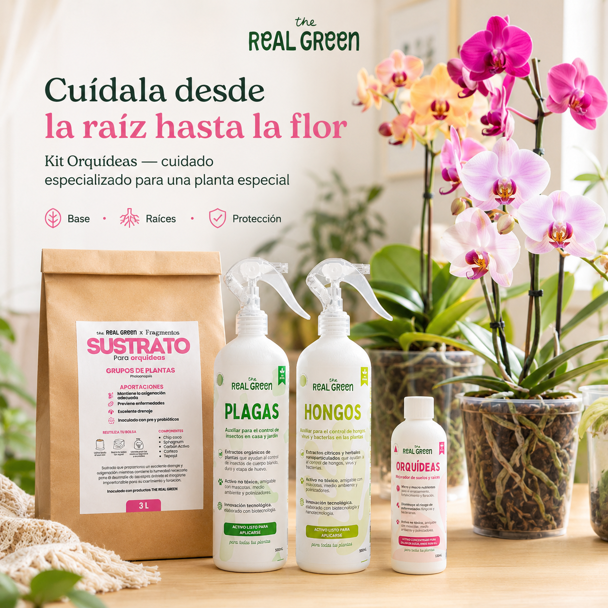 Kit Orquideas K