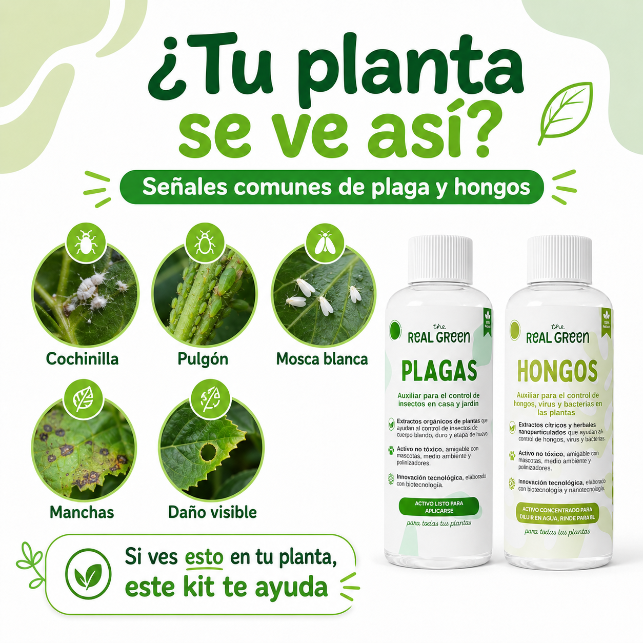 Kit Plagas + Hongos Grande