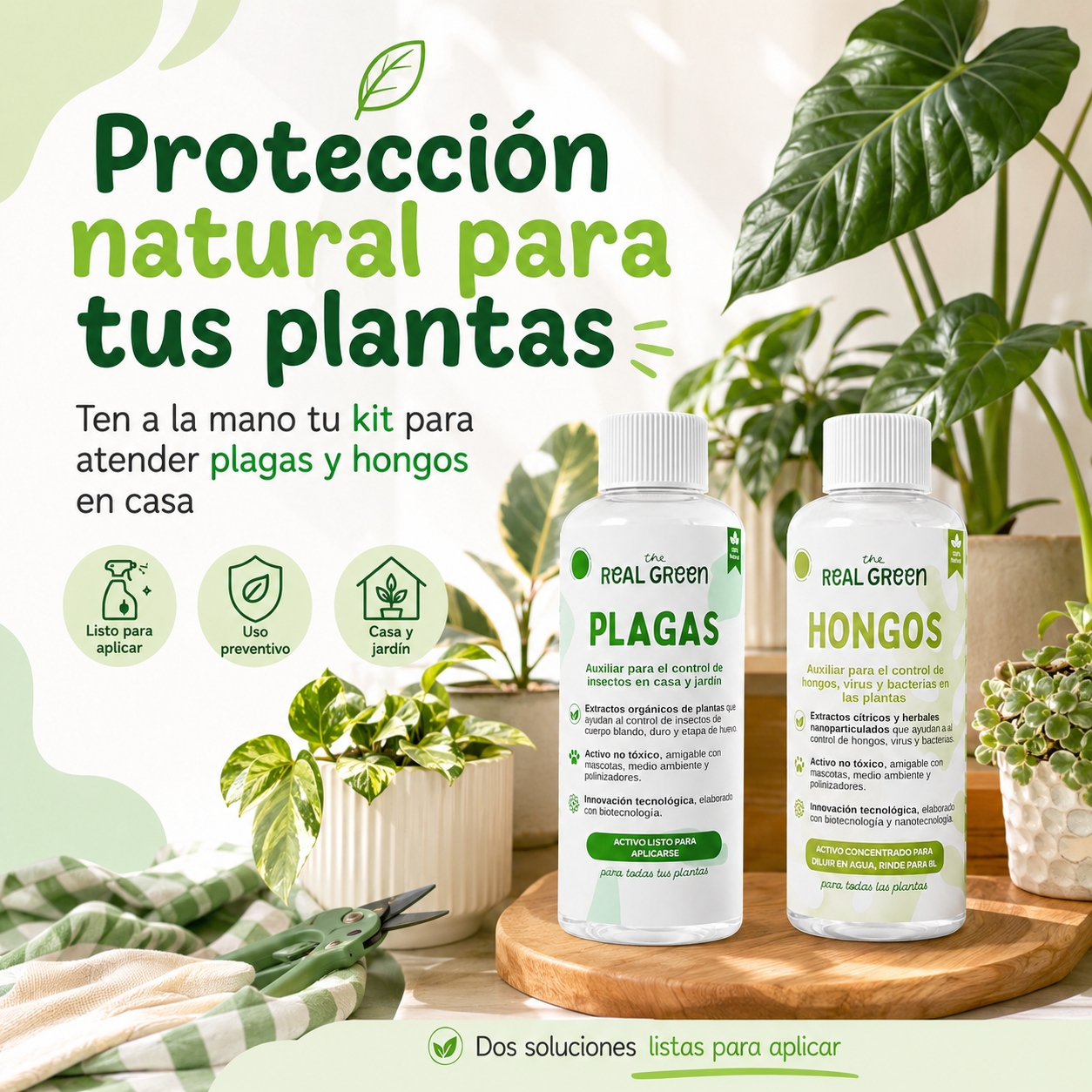 Kit Plagas + Hongos Grande