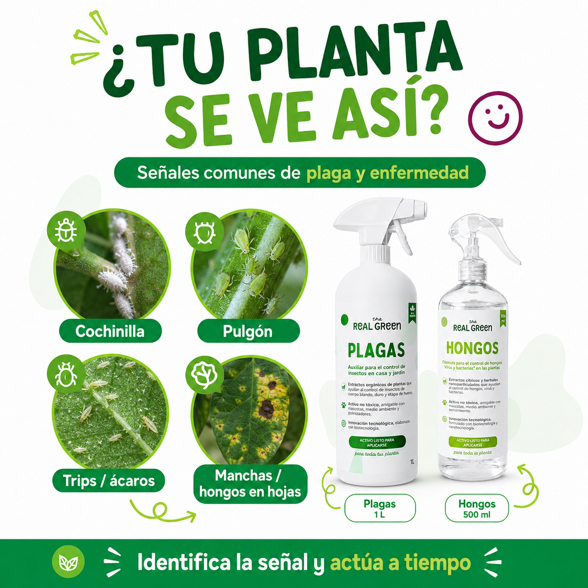 Kit Plagas + Hongos