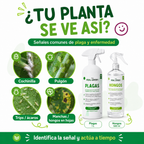 Kit Plagas + Hongos