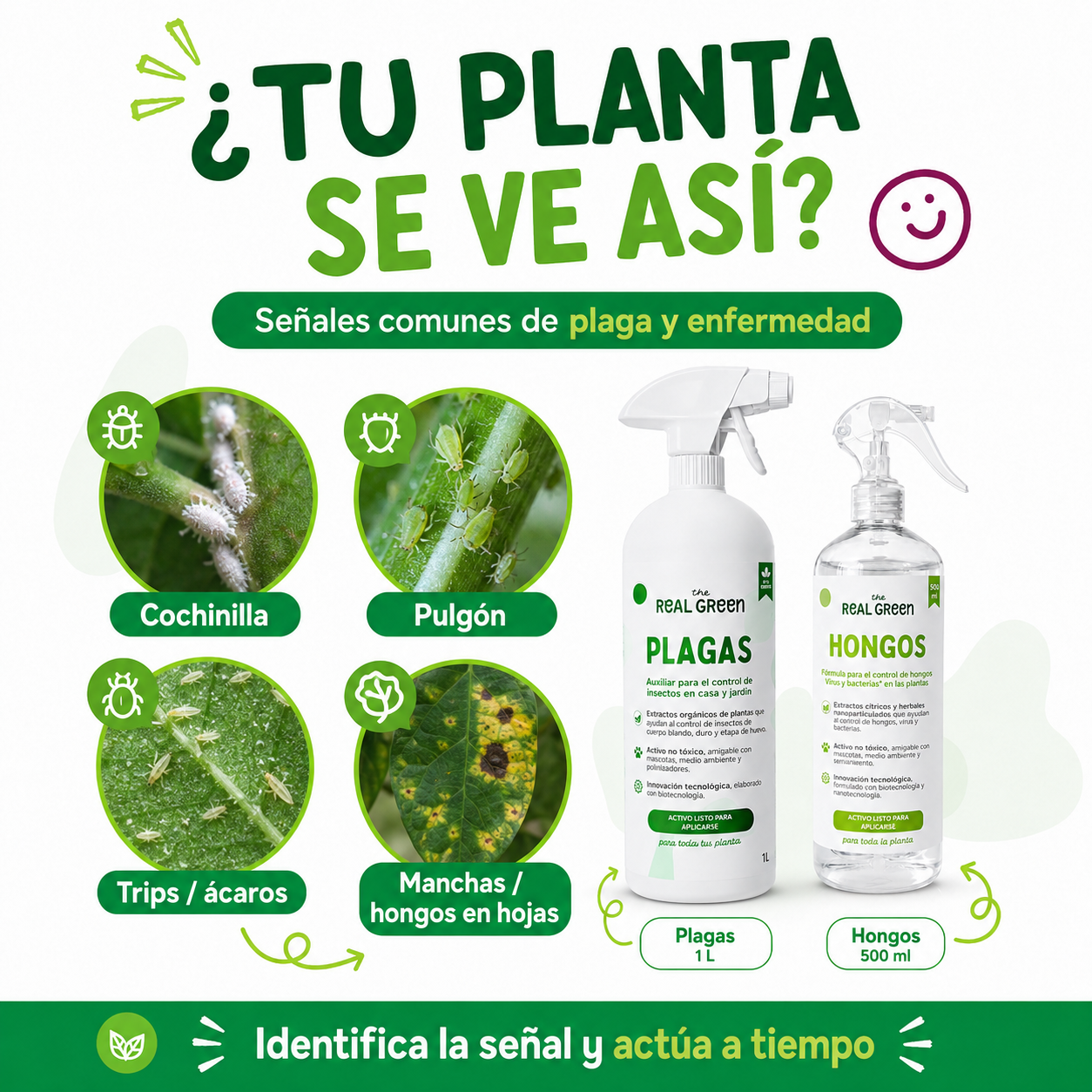 Kit Plagas + Hongos