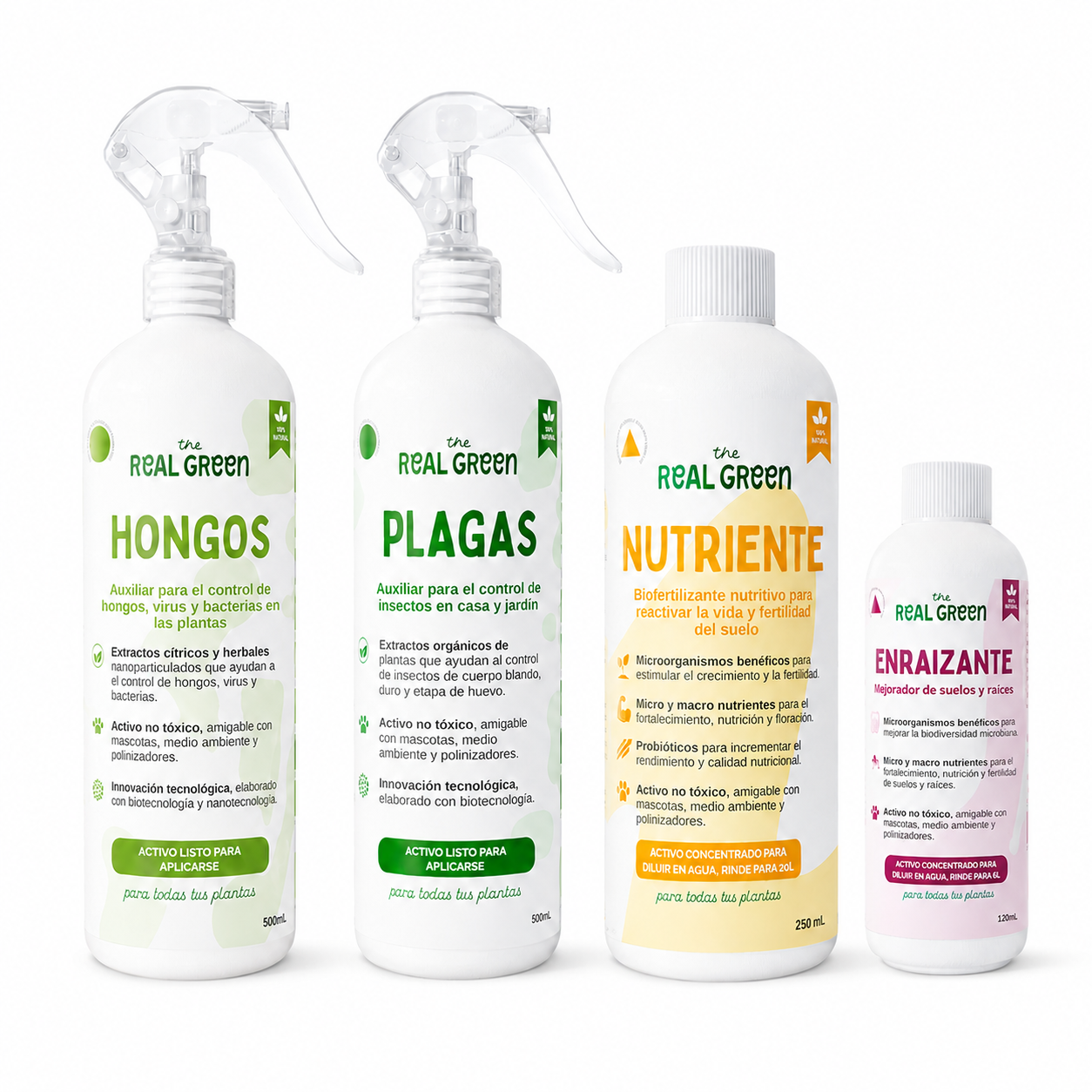 Kit Plantas Felices