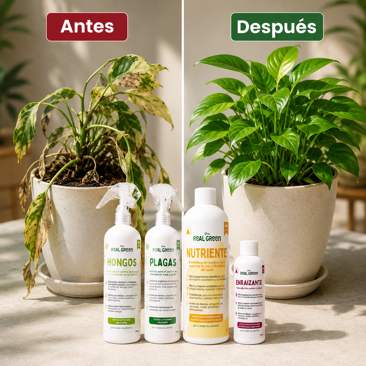 Kit Plantas Felices Chico