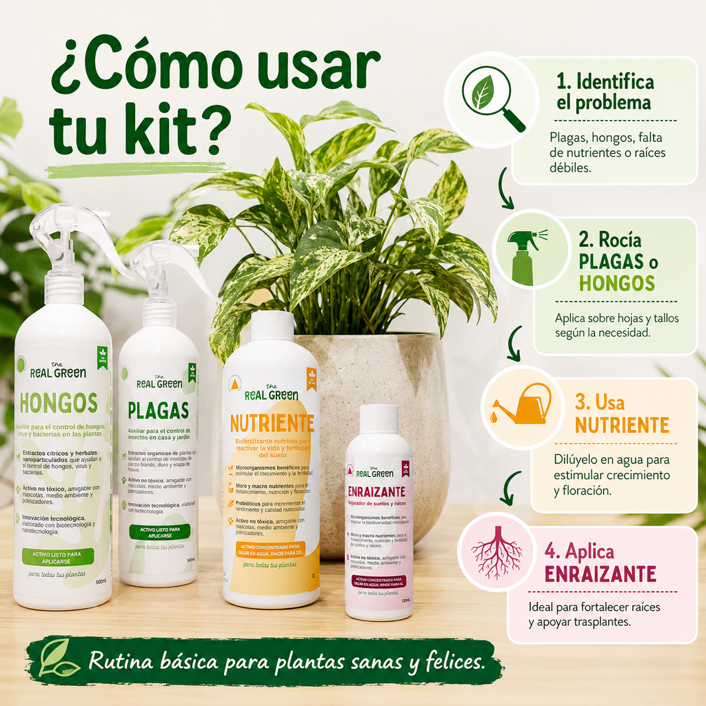 Kit Plantas Felices Chico