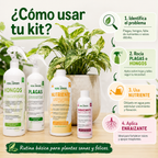 Kit Plantas Felices Chico