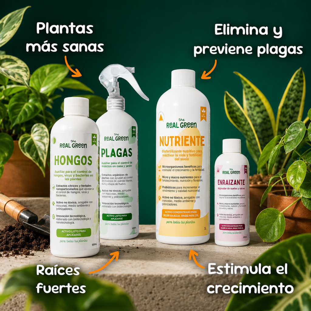 Kit Plantas Felices Chico