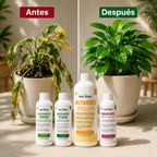 Kit Plantas Felices Grande