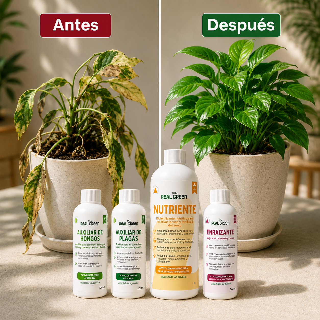 Kit Plantas Felices Grande