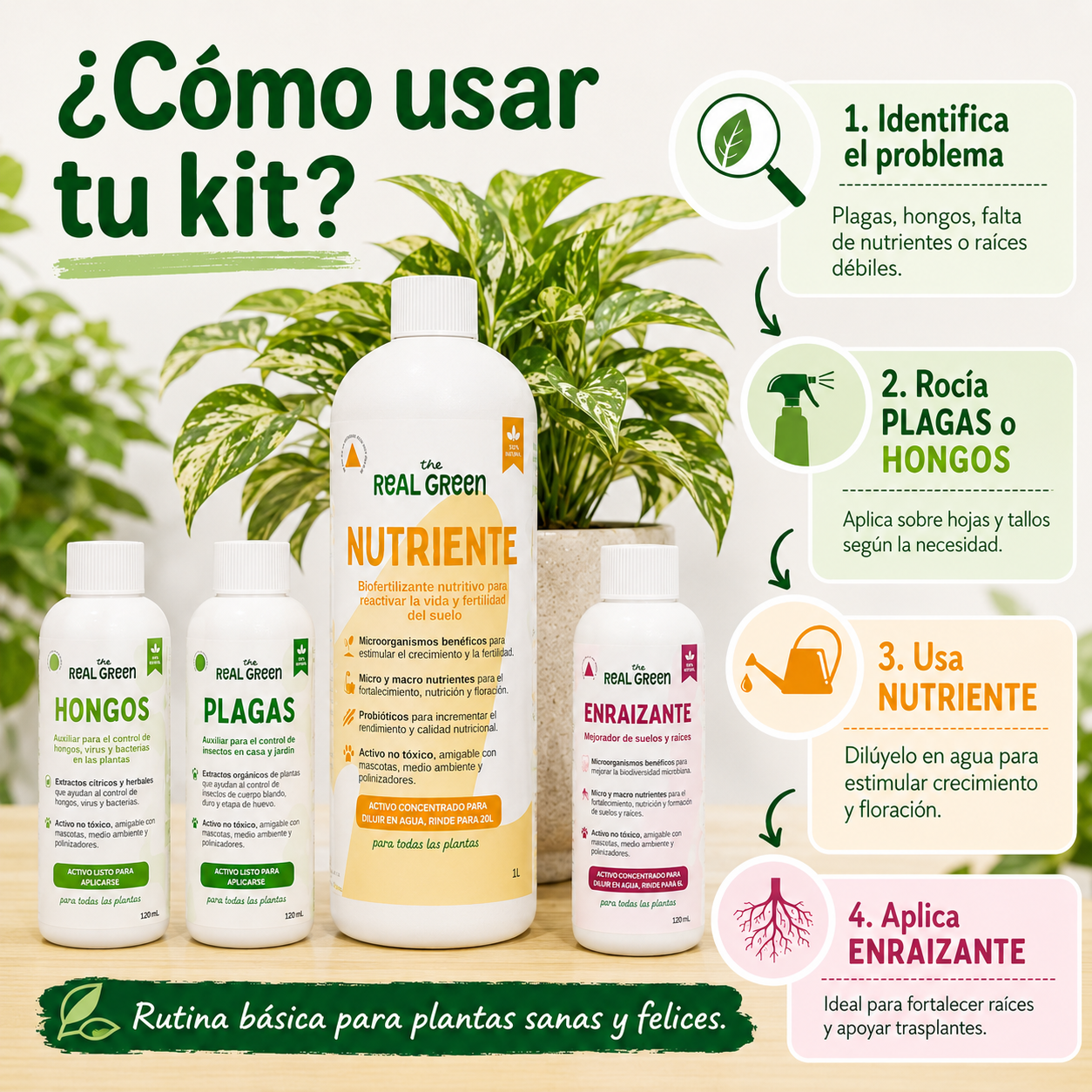 Kit Plantas Felices Grande