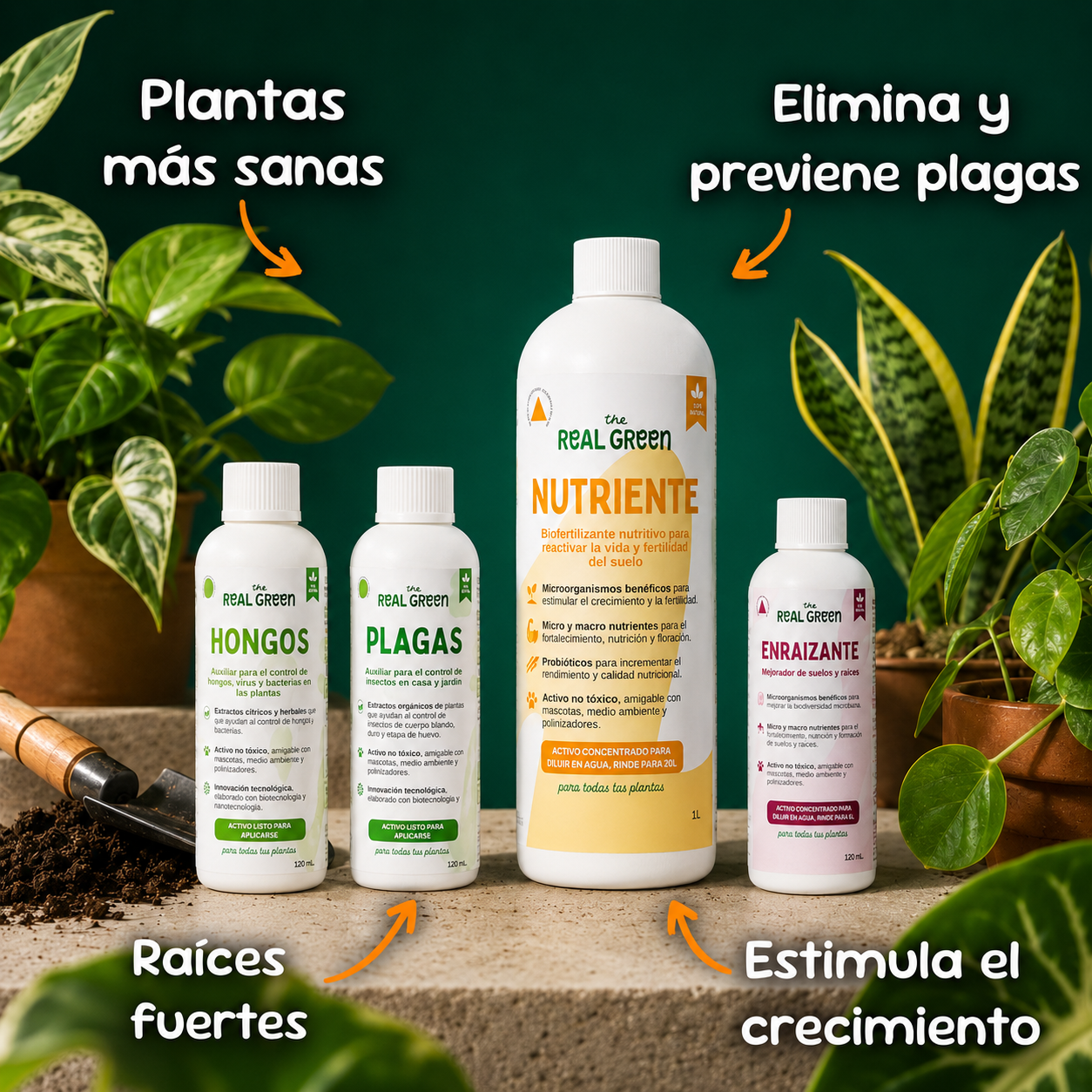 Kit Plantas Felices Grande