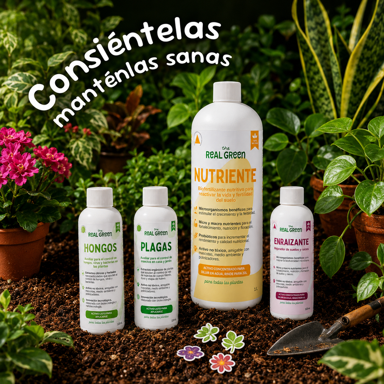 Kit Plantas Felices Grande