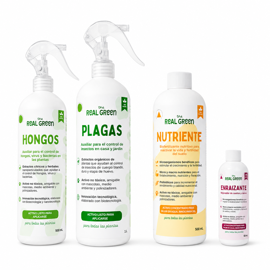 Kit Plantas Felices