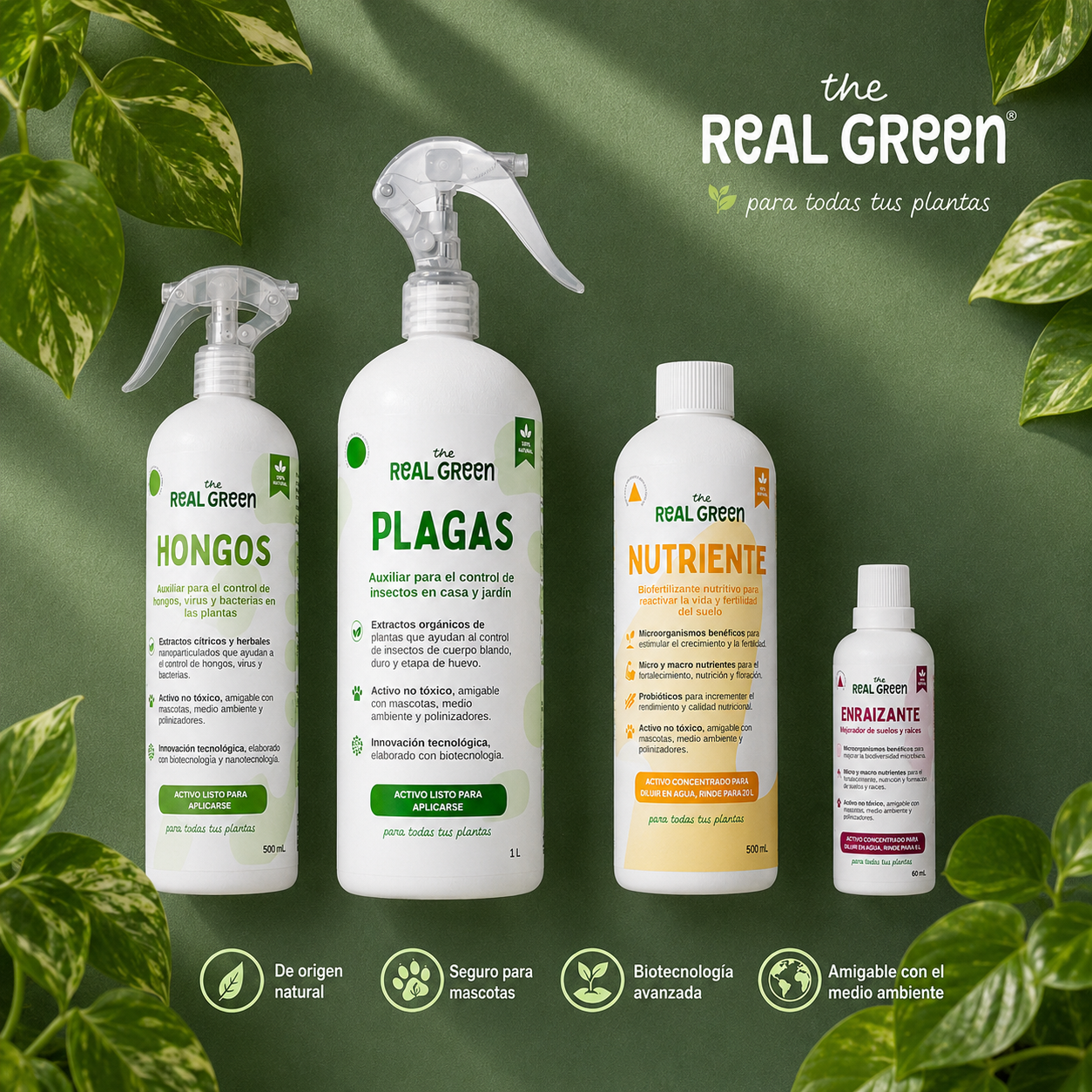 Kit Plantas Felices Mediano