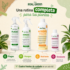 Kit Plantas Felices