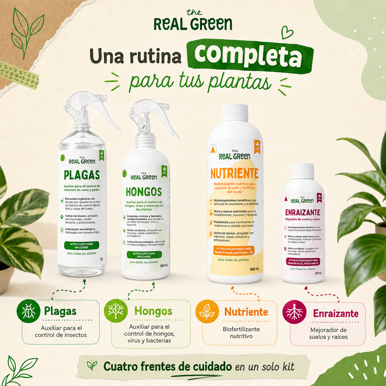 Kit Plantas Felices