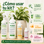 Kit Plantas Felices Mediano