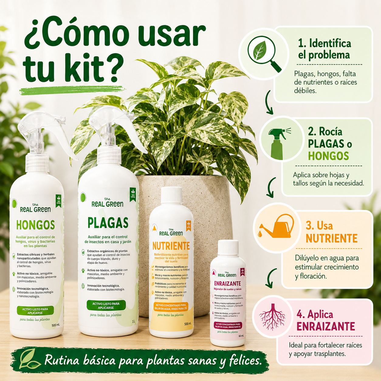 Kit Plantas Felices Mediano