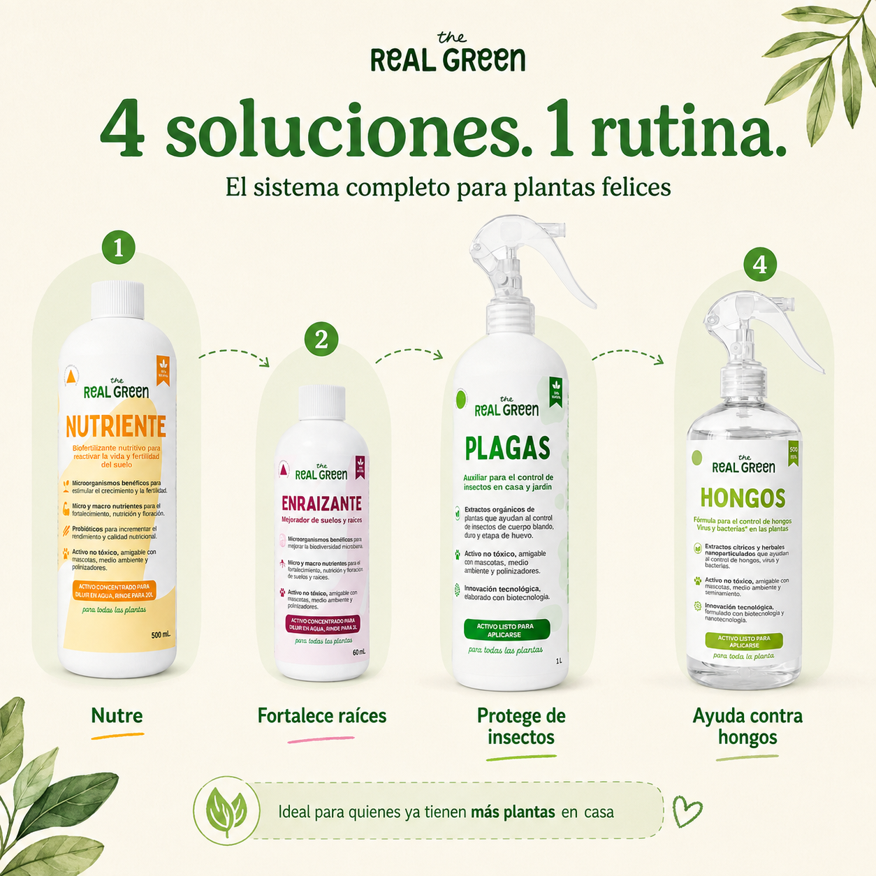 Kit Plantas Felices