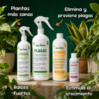 Kit Plantas Felices Mediano