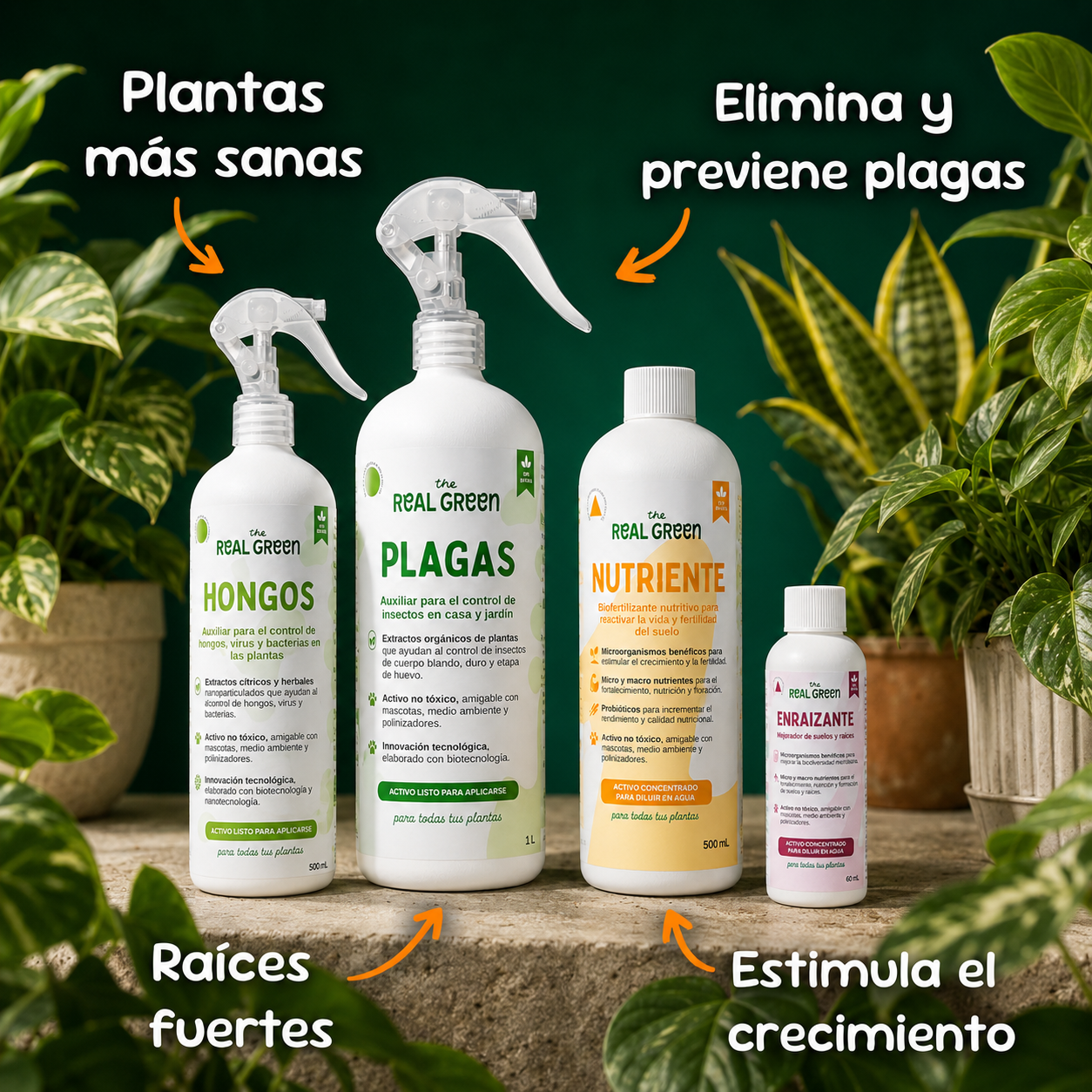 Kit Plantas Felices Mediano