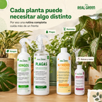 Kit Plantas Felices