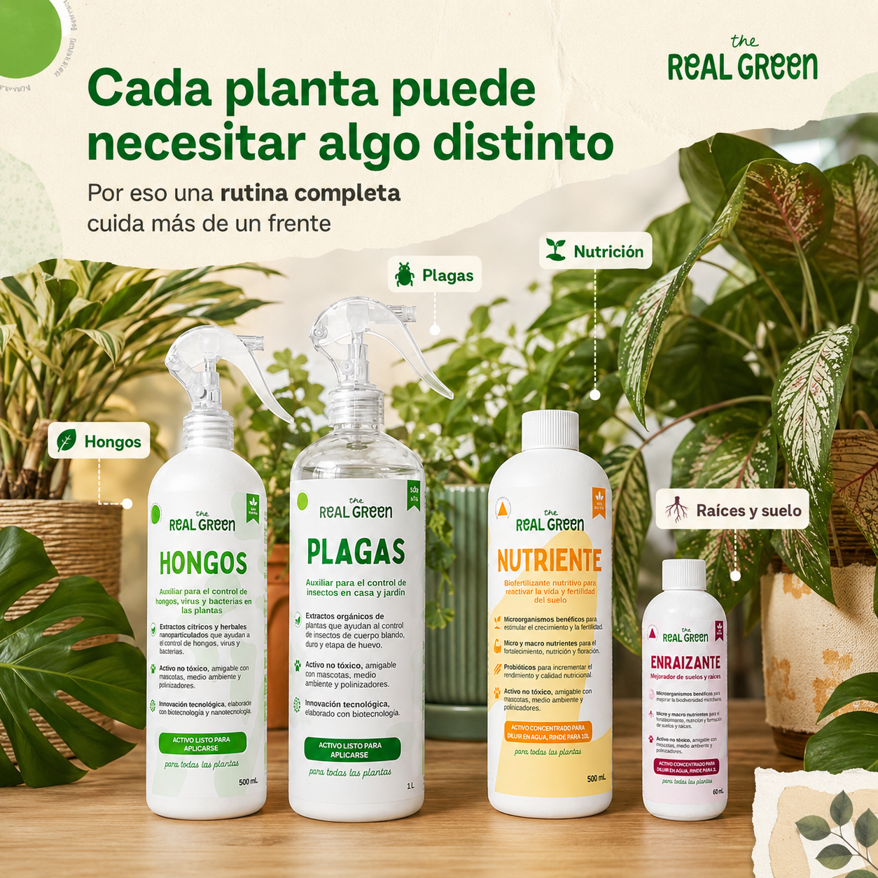 Kit Plantas Felices