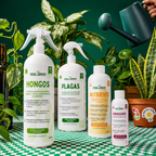 Kit Plantas Felices Mediano