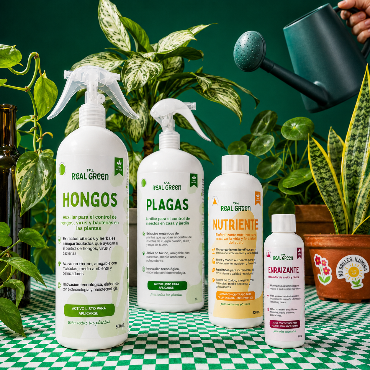 Kit Plantas Felices Mediano