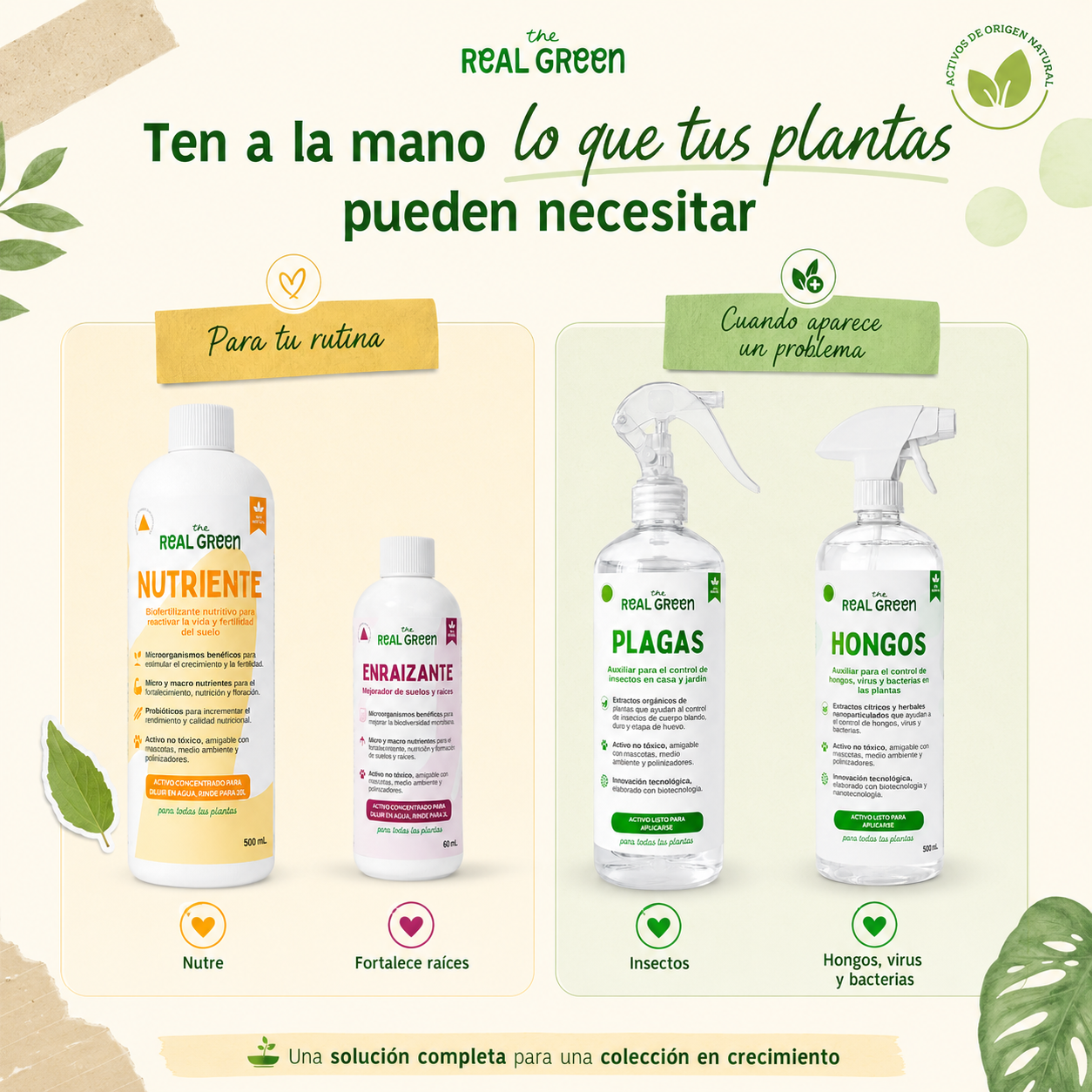 Kit Plantas Felices